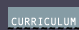 CURRICULUM
